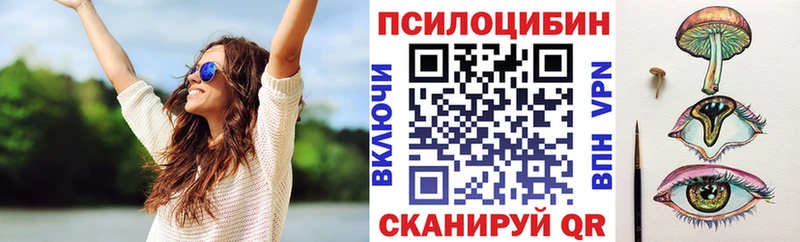 darknet какой сайт  Александровское  Галлюциногенные грибы GOLDEN TEACHER 